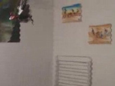 Firechris Concours TUNING Heli4.com 2008 Lama Esky