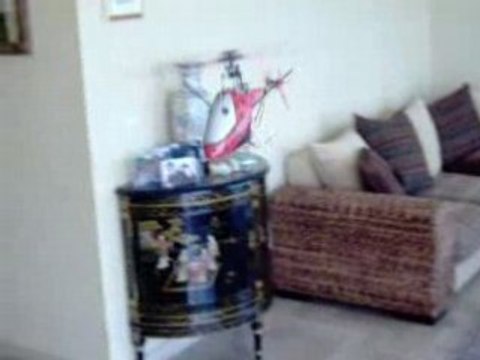 Limpbizkiteur06 Concours TUNING Heli4.com 2008 Mini CP