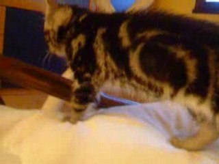 ava 8 jours après son arrivée