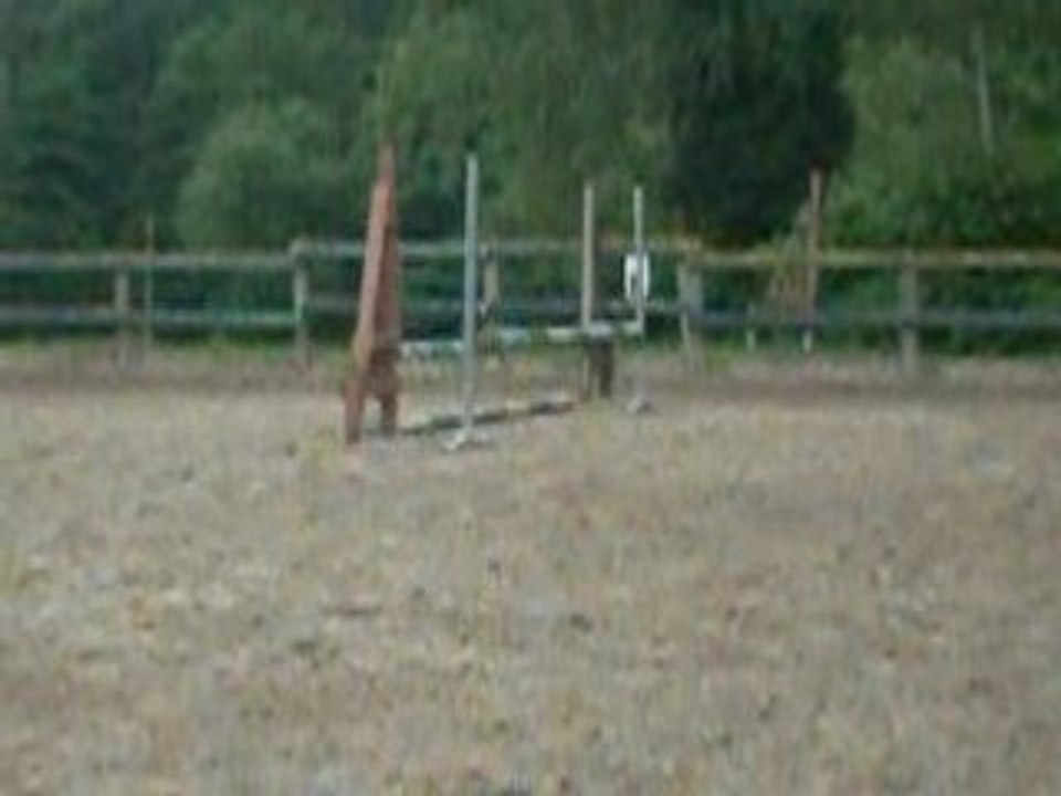 Dimanche 1 juin 2008