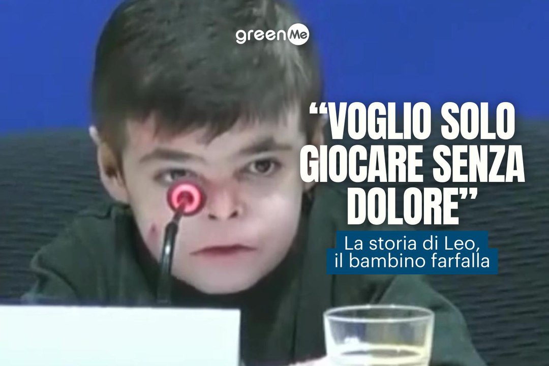 La storia di Leo, il bambino farfalla