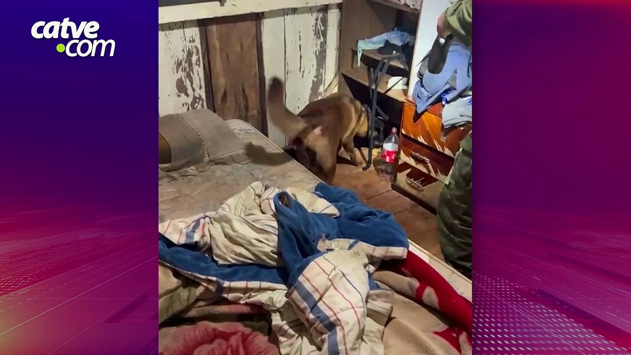 Operação Blue Sky prende suspeitos e cumpre mandados no Oeste do PR