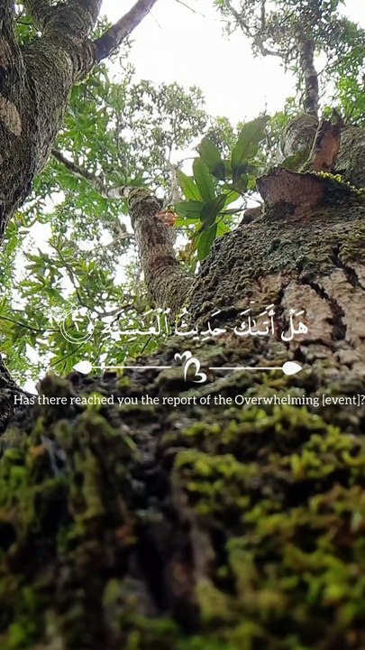 🌙✨ Surah Al-Ghāshiyah (88:1–6) — سورة الغاشية⚡ A Day That Will Overwhelm All 🤍🔥 #loce #Quran #viral #shorts #trending #youtubeshorts #short #fyp #SurahAlGhashiyah #Akhirah #Reminder #IslamicReminder