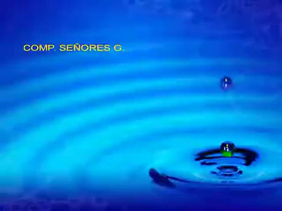 Señores coroneles, señores generales (1976)