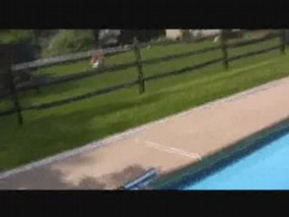 Snake in Pool