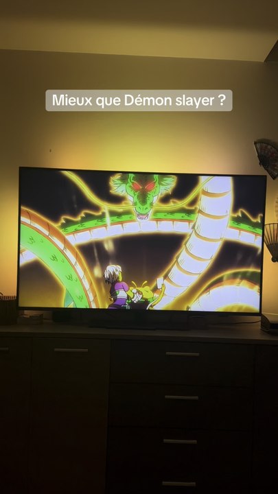 Dbz c’est la vie