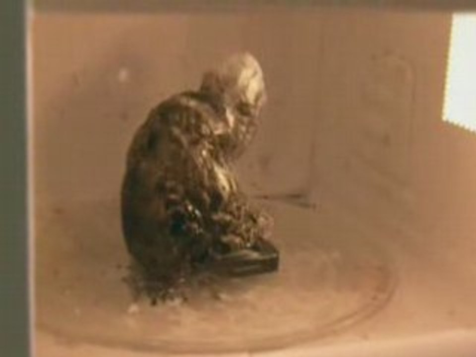 Portable dans le Micro-onde Attention ceci est dangereux