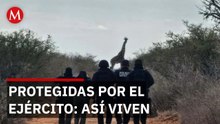 Misterio resuelto: La familia de jirafas que vive en el desierto de Coahuila