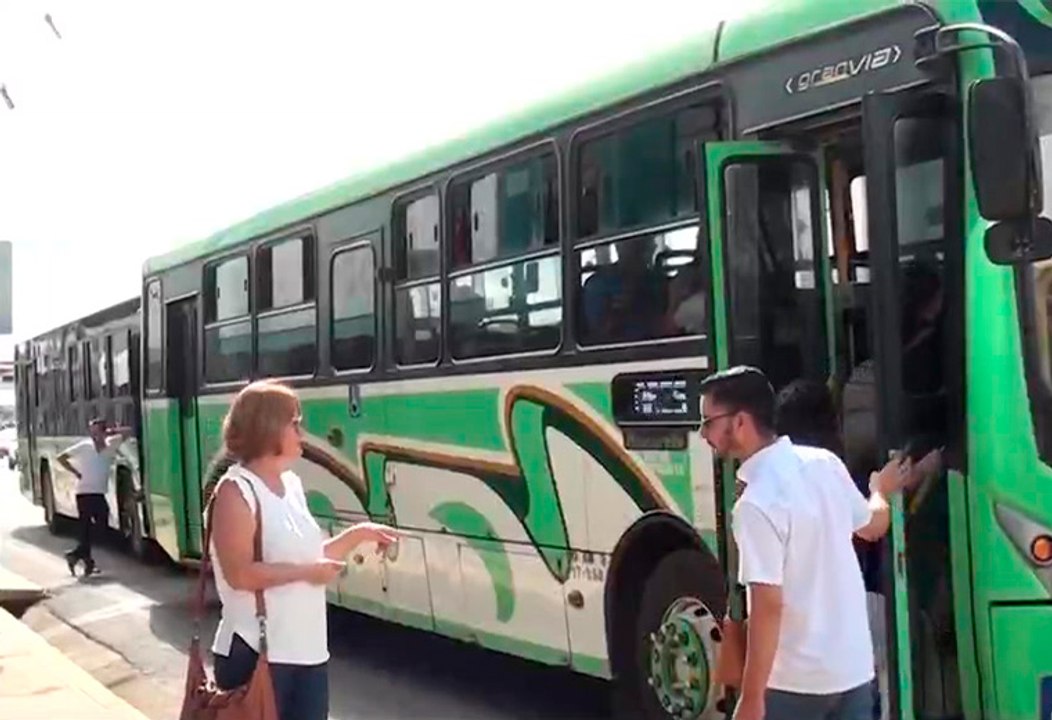 tn7-Buses en crisis: cambios de pago avanzan mientras rutas siguen desapareciendo