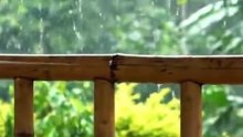 Suara Hujan Yang Tenang Di Beranda Bambu