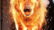 Mesmerizing Wolf Ignites from Matchsticks! 🔥🐺 Epic Burning Art