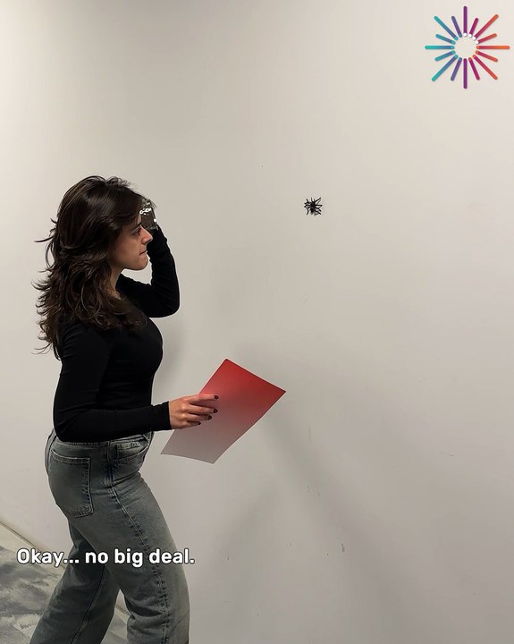 This spider had other plans 😂🕸️