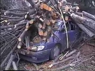 CATASTROPHE NATURELLE  A VINCENNES 1999 Armando