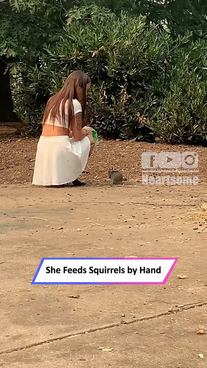Woman Feeds Squirrels by Hand—Adorable Trust-Building Moment!|| Heartsome 💖