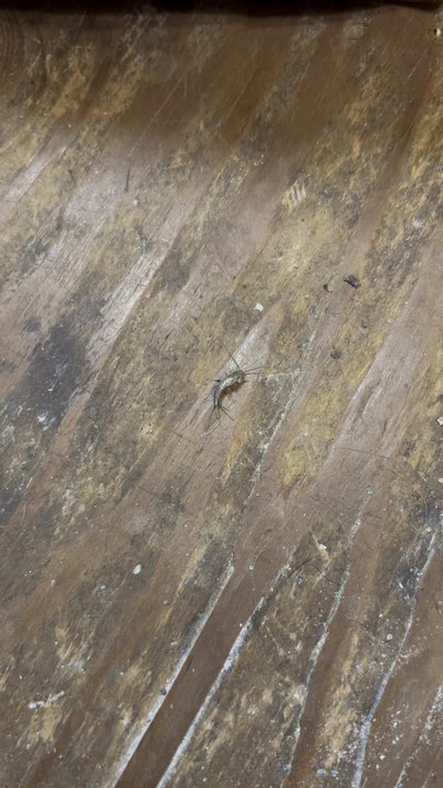 Critter Spotting!