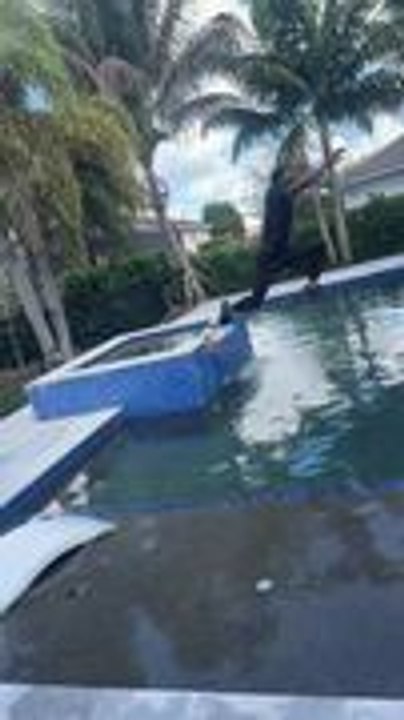 Man Fails To Jump Over Pool