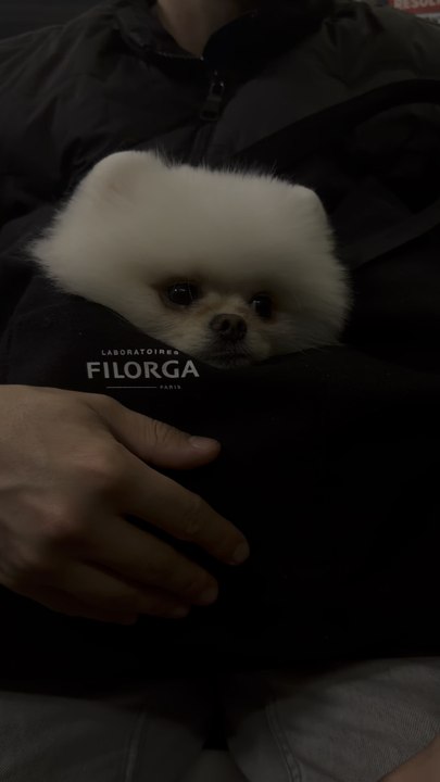 My little explorer navigating the Paris Metro 🥹