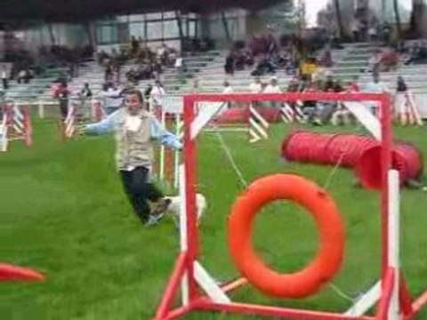 Chpt de France 08 Stanley 3eme Manche - Agility