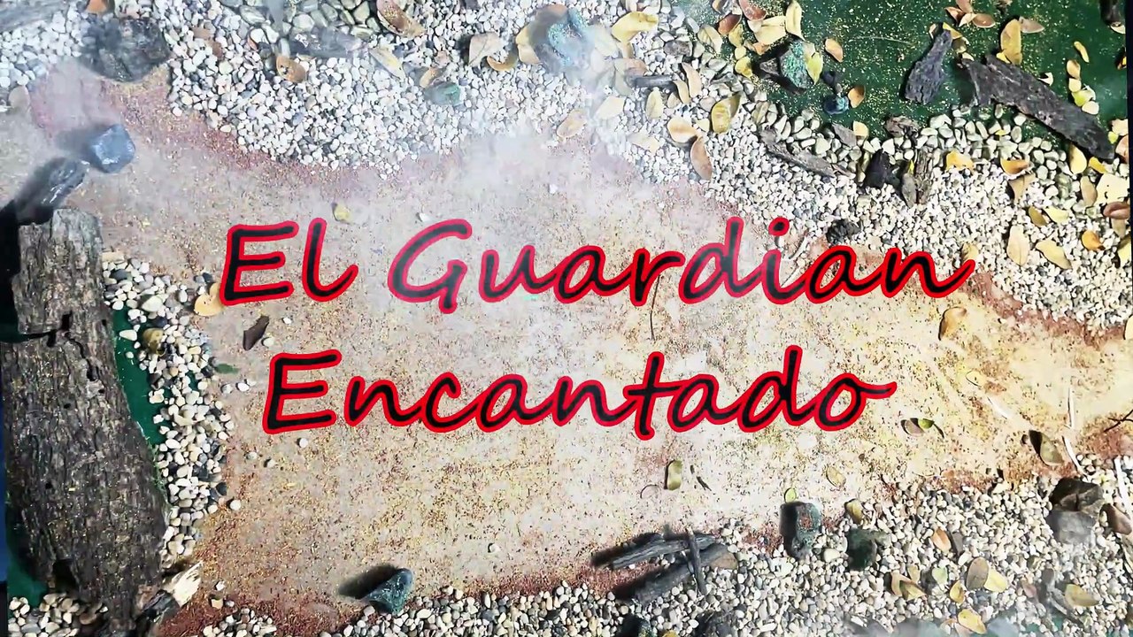 Proyecto Final Video