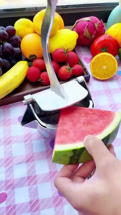Easy to make juice of any fruit