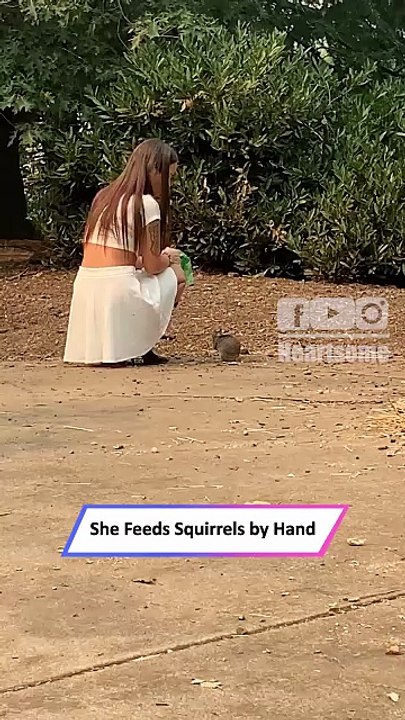 Woman Feeds Squirrels by Hand—Adorable Trust-Building Moment!__ Heartsome 💖