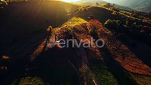 Sun rays shining through yellow and green trees leaves on mountain top
