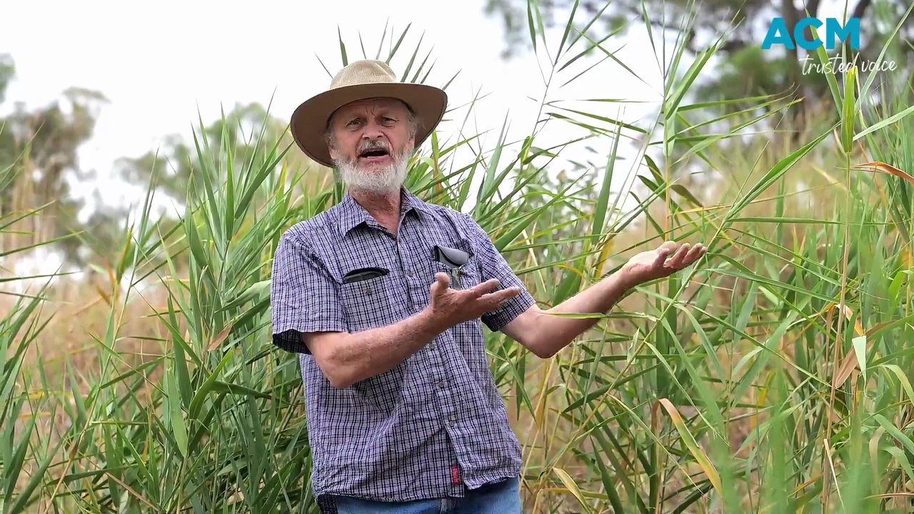 MDBA joins Wallabadah community river walk