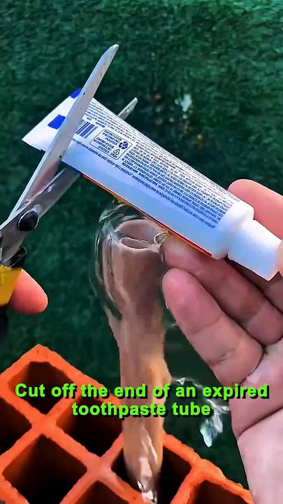 "Your Front-Row Seat to New Movies and Music!"