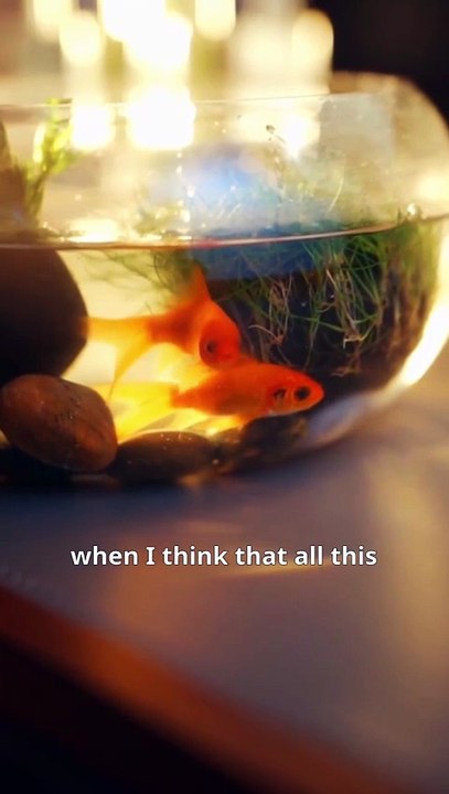 Love Was Wrong Don't Look Back Full Chinese Drama EngSub