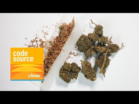 [PODCAST] HHC : ce puissant cannabis de synthèse