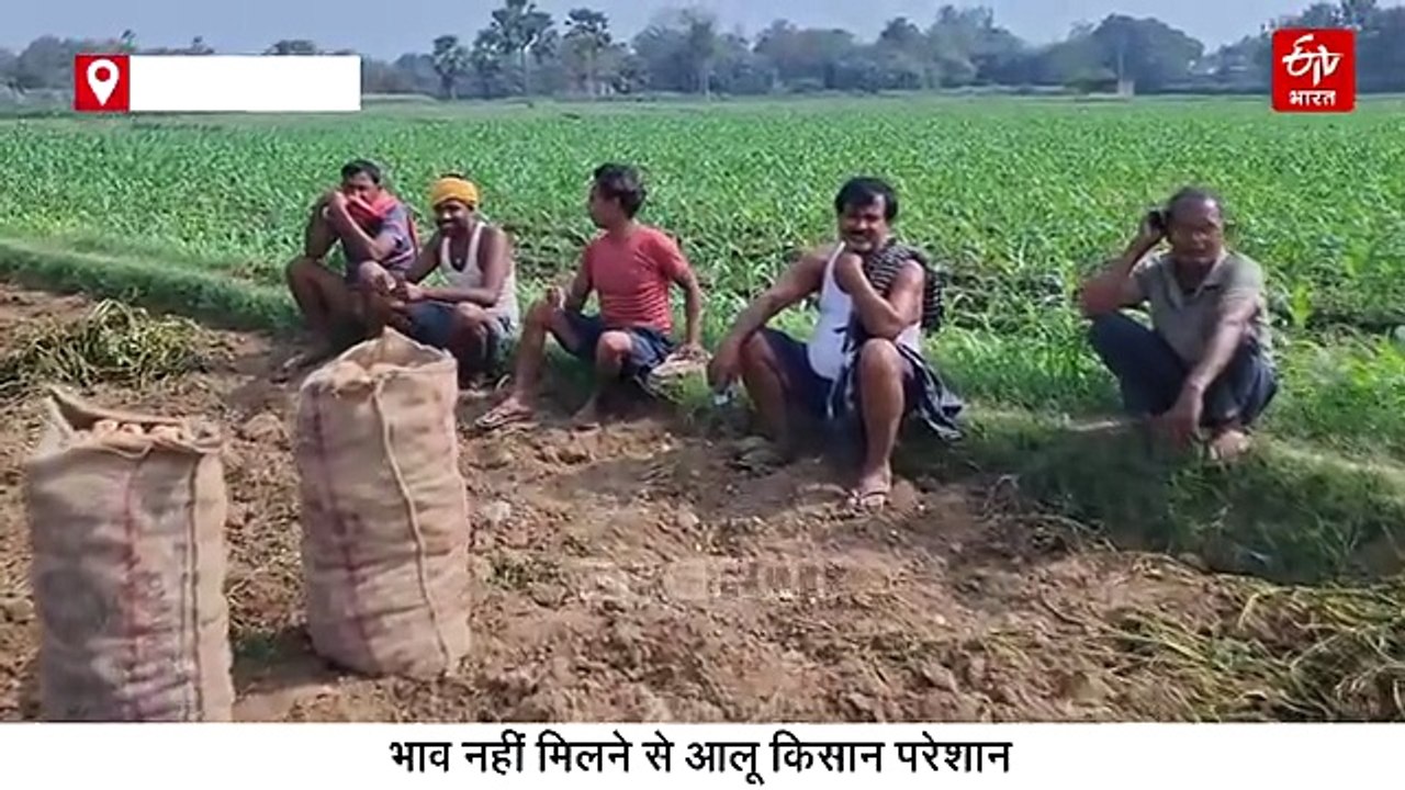 '5 रुपये प्रति किलो भी नहीं मिल रहे खरीदार, क्या करें हम?', दाम नहीं मिलने से आलू किसान परेशान