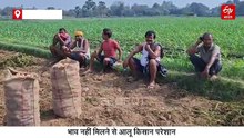 '5 रुपये प्रति किलो भी नहीं मिल रहे खरीदार, क्या करें हम?', दाम नहीं मिलने से आलू किसान परेशान