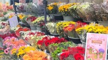 3€ la botte de fleurs, meilleur rapport qualité prix de Paris ! #fleur #fleuriste #bouquet #paris #pascher