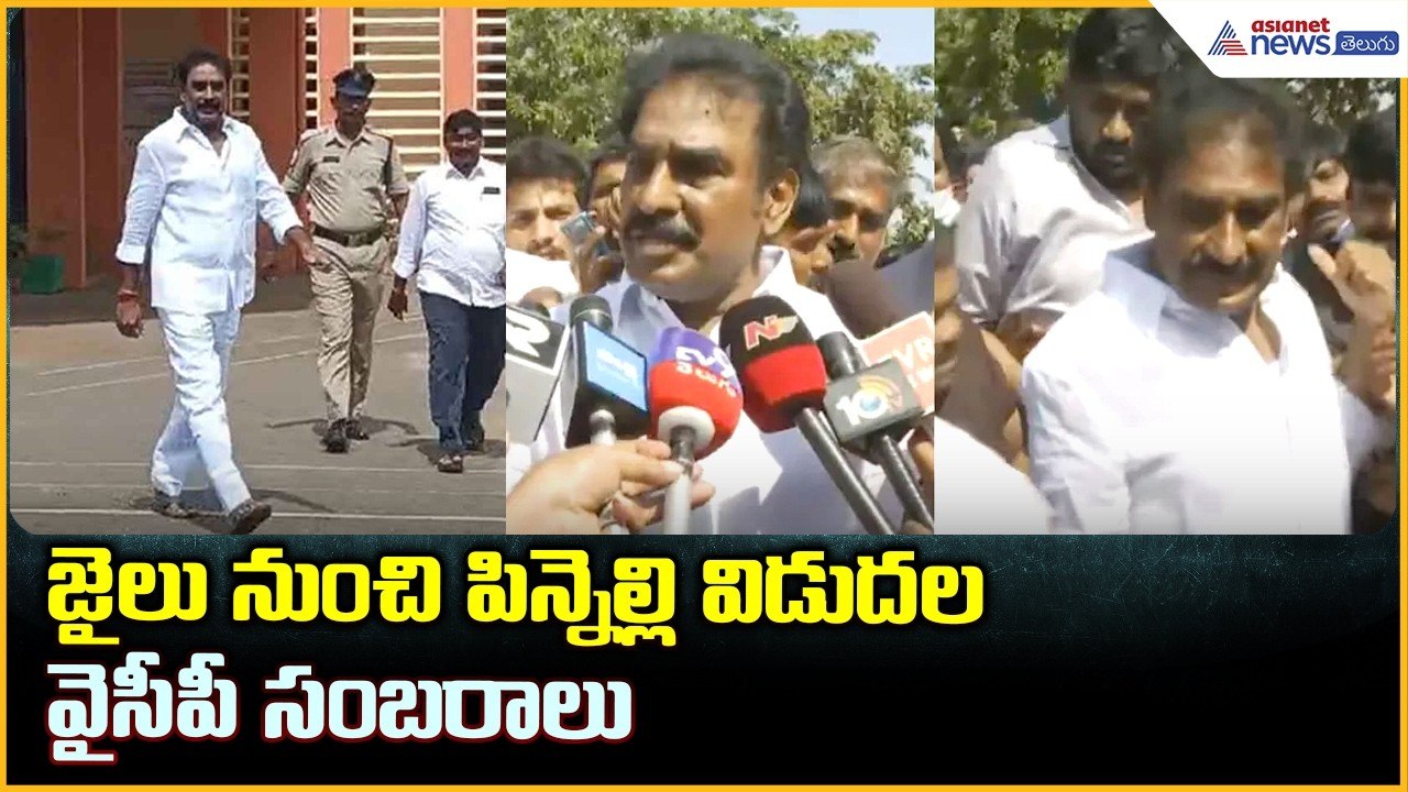 Pinnelli Ramakrishna Reddy: జైలు నుంచి పిన్నెల్లి విడుదల.. వైసీపీ సంబరాలు | Asianet News Telugu