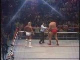 wwf Hulk Hogan & Andre The Giant