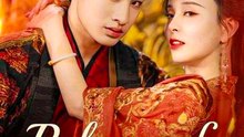Palace of Poisoned Grace - Chinese Drama - English Sub – FULL HD MOVIE [Eng Sub]