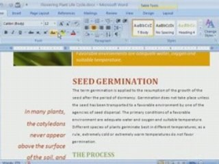 Office 2007 Demo: Setting Passwords