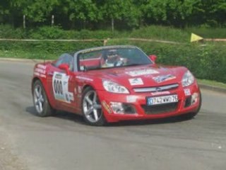 rally 2008