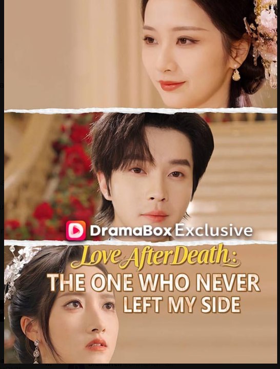 Love After Death The One Who Never Left My Side Drama S