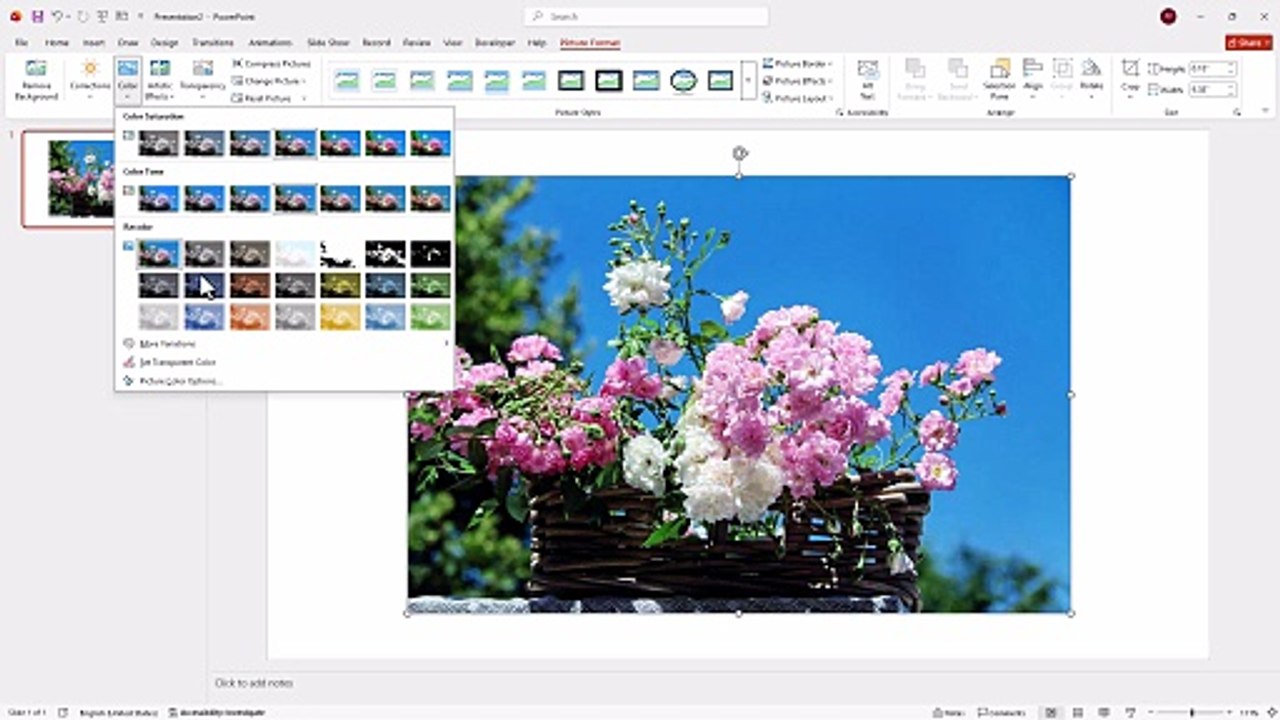 MS PowerPoint 12 Modifying Image Colors