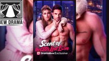 Scent of the CEO's Lost Love (2026) - FULL | Dramabox