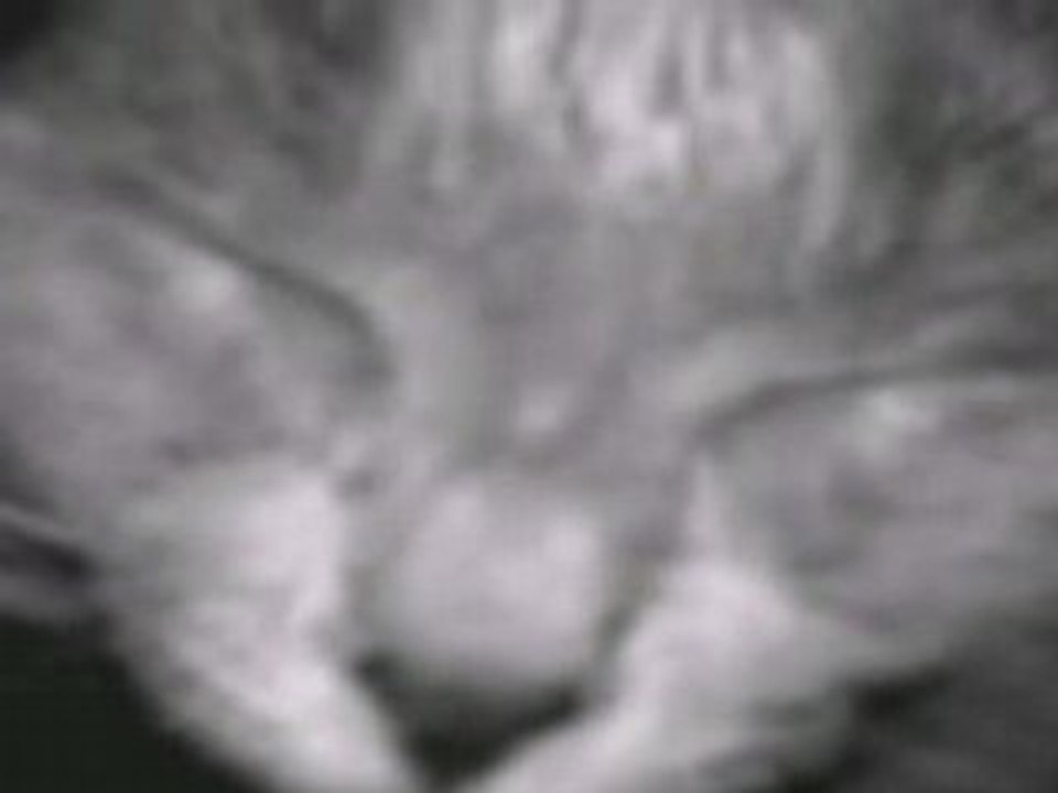 =Grey123=