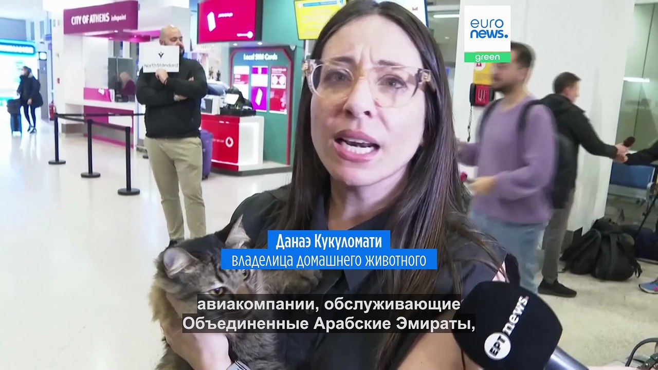 Они вернулись домой вместе: в Афины прибыл спец...