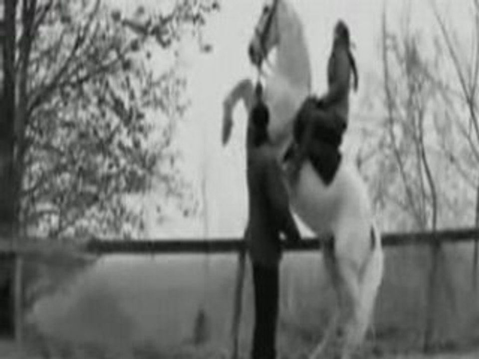 Le cheval