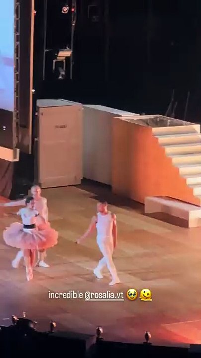 Bilal Hassani était présent pour le concert de Rosalía. Capture d'écran Instagram