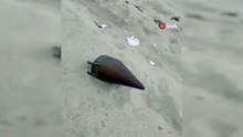 Sahilde panik anları! Çatalca’da füze başlığı bulundu