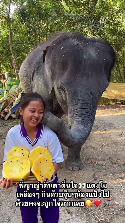 De la friandise contre un bisou