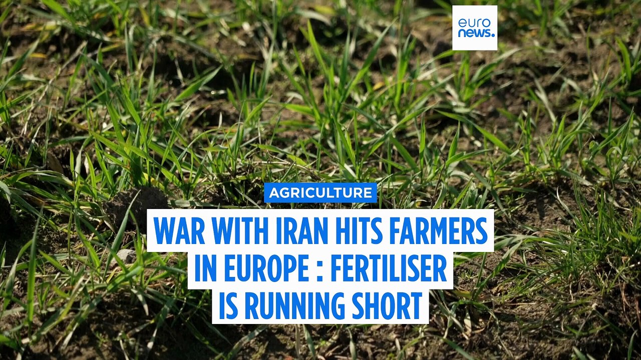 Europe's fertilizer crisis: prices surge due to Iran war and dependence on Russia