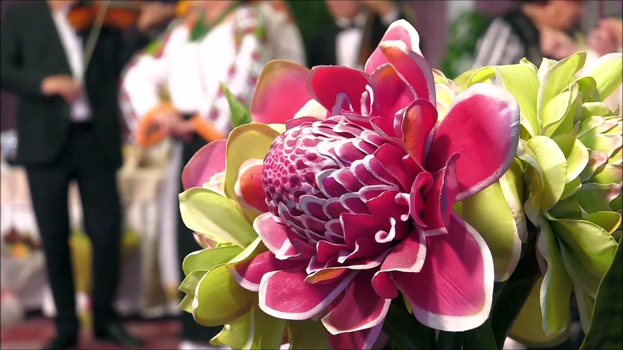 Laura Lavric - Radauteanca lui Victor (Cantec din suflet de roman - ETNO TV - 31.10.2025)