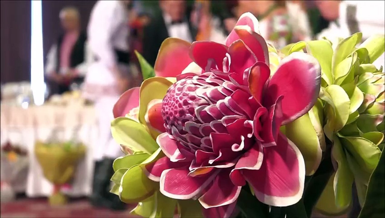 Laura si Victor Lavric - Am venit cu drag la voi (Cantec din suflet de roman - ETNO TV - 31.10.2025)